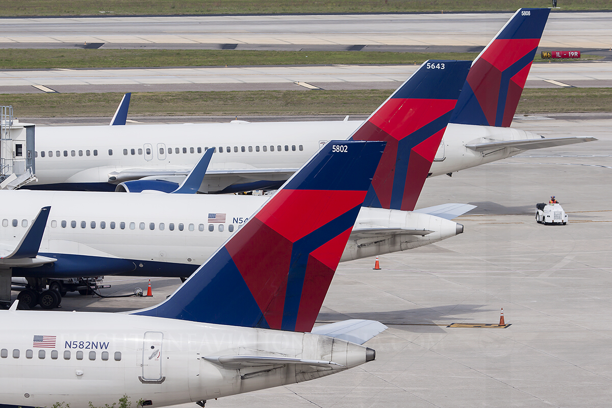 Aircraft at the Tampa International Airport